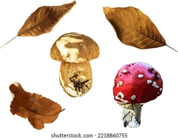 traced image. Forest mushrooms. Autumn. Autumn forest. Vector mushrooms.Crop. November. October. Food. Ingredients. Leaves. Dry leaves.