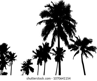 Traced palms. Vector EPS 10.