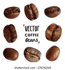 Traced photo of coffee beans. 