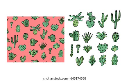 Traced succulents illustration. Seamless pattern and isolated plants. Cacti vector image.