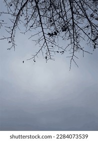 Traced vector. The sky and the branches. Cloudy weather. Look at the sky. Background image. Spring. Autumn. Summer.