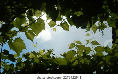 Traced vector. Sky and grape leaves. Summer. Look at the sky. Background image.
