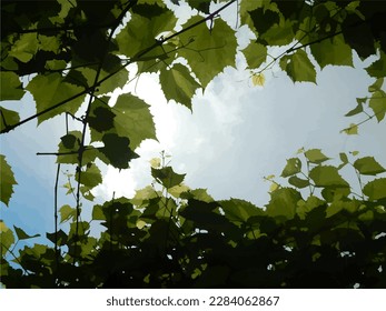 Vector rastreado. El cielo y las hojas de uva. Verano. Mira el cielo. Imagen de fondo.