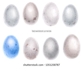 Traced vector, Watercolor set of bird eggs