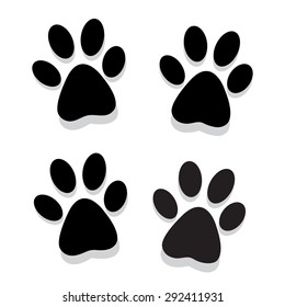 Traces of animal paws on a white background