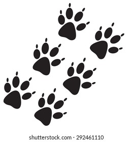 Traces of animal paws on a white background