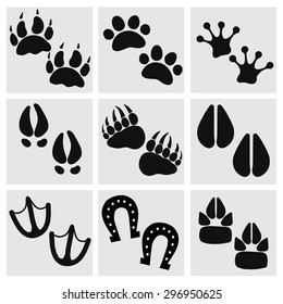 Traces of animals, birds, people