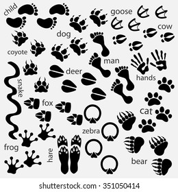 Traces Animals Birds People Stock Vector (Royalty Free) 346724855 ...