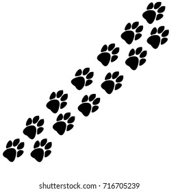 traces of animals track