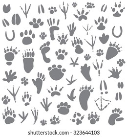 Traces of animals. Vector illustration. Isolated on white background