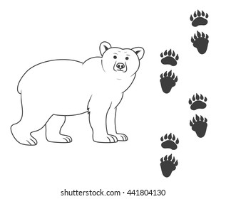 Traces of a bear. bear and his traces on a white background