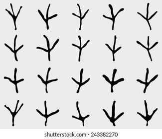 Traces of birds, vector