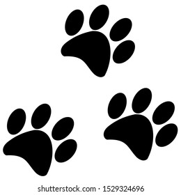 traces of cat vector image