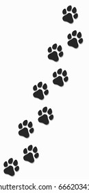 Traces of a dog in black on a white background. Soft shadow. Vector illustration. EPS 10