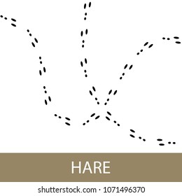 Traces of Forest Animal, Traces of Hare or Rabbit, Vector Illustration
