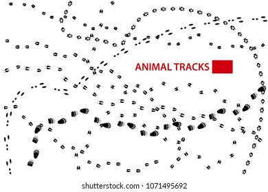 Traces of Forest Animals, Animal Tracks, Vector Illustration