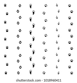 Traces of wild animals.