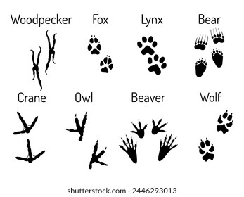 Traces of wild animals. Paw prints of woodpecker, fox, lynx, bear, owl, beaver, wolf, crane. Black and white vector illustration.