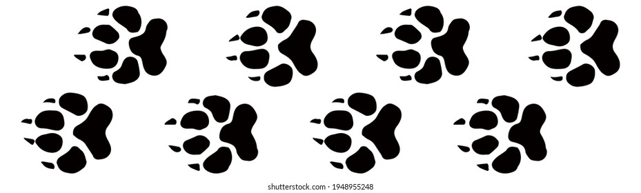 Traces of a wolf. Vector drawing