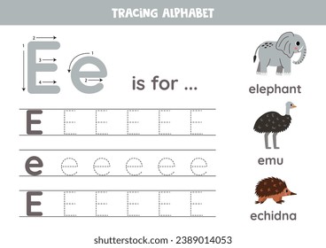 Rastrear todas las letras del alfabeto inglés. Actividad preescolar para niños. Escribiendo letra mayúscula y minúscula E. Cuta ilustración de elefante, emu, echidna. Hoja de cálculo imprimible.