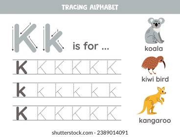 Tracing all letters of English alphabet. Preschool activity for kids. Writing uppercase and lowercase letter K. Cute illustration of koala, kiwi bird, kangaroo. Printable worksheet.