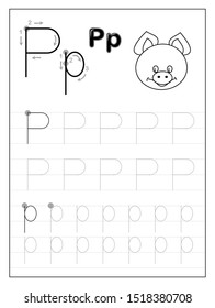 Tracing alphabet letter P. Black and white educational pages on line for kids. Printable worksheet for children textbook. Developing skills of writing. Vector for baby book. Back to school.