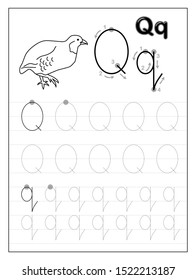 Tracing alphabet letter Q. Black and white educational pages on line for kids. Printable worksheet for children textbook. Developing skills of writing. Vector for baby book. Back to school.