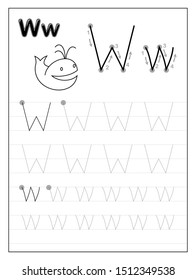 Tracing alphabet letter W. Black and white educational pages on line for kids. Printable worksheet for children textbook. Developing skills of writing. Vector for baby book. Back to school.