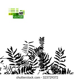 Tracing a branch with leaves. Vector