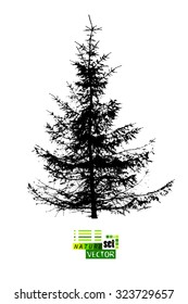tracing fir-tree object. Vector