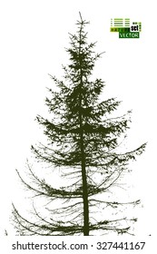 tracing fir-tree object. Vector