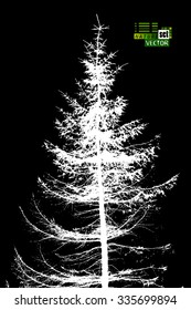 tracing fir-tree object. Vector