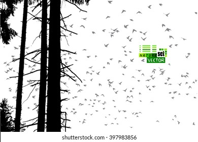 Tracing forest trees trunks. Vector