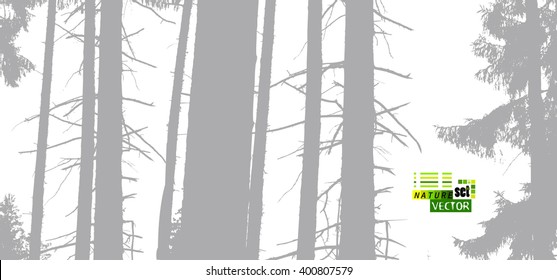 Tracing forest trees trunks. Vector
