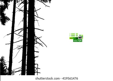 Tracing forest trees trunks. Vector