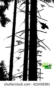Tracing forest trees trunks. Vector