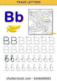 Tracing letter B for study alphabet. Printable worksheet for kids. Education page for coloring book. Developing children skills for writing and tracing ABC. Vector cartoon image for school textbook.