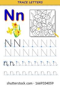 Tracing letter N for study alphabet. Printable worksheet for kids. Education page for coloring book. Developing children skills for writing and tracing ABC. Vector cartoon image for school textbook.