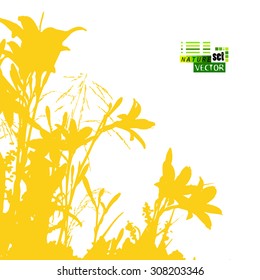 Tracing lily background silhouette. Vector