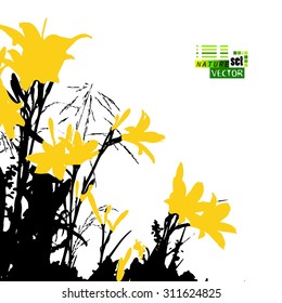 Tracing lily background silhouette. Vector