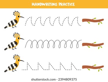 Tracing lines for kids. Cute cartoon hoopoe bird and tree branch. Handwriting practice for children.