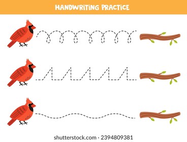 Tracing lines for kids. Cute cartoon red cardinal and tree branch. Handwriting practice for children.