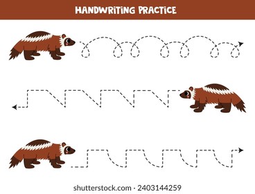 Tracing lines for kids. Cute cartoon wolverine. Handwriting practice for children.