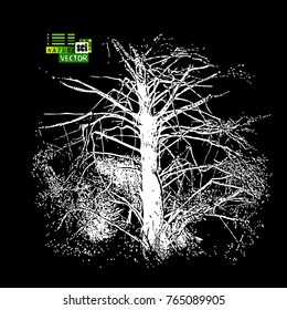 Tracing the old tree. Vector
