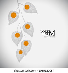 tracing Physalis. Vector