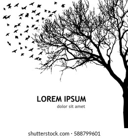 Tracing tree with birds. Vector