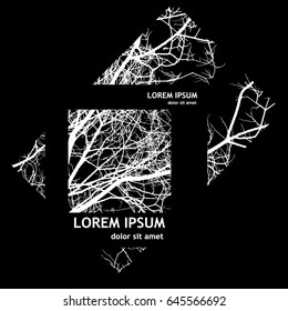tracing trees. Vector