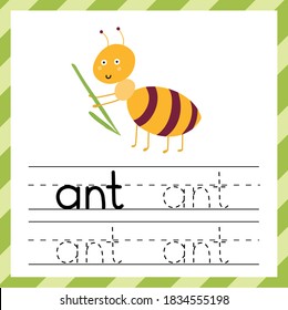 Rastrear la hoja de cálculo con la palabra -Ant. Material didáctico o tarjetas de crédito para niños. Puedo escribir la plantilla de palabras. Hoja de prácticas de seguimiento. Ilustración del vector 