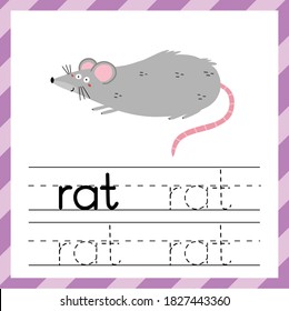 Tracing worksheet with word Rat. Learning material for kids. I can write words template. Tracing practice sheet. Vector illustration 
