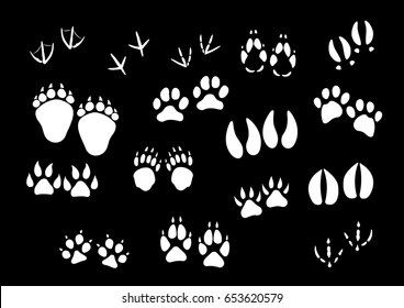 Track imprints of wild animal paws or hooves and birds feet. Foot traces of dog or car pet, sparrow or dove, wolf and fox or farm cow and horse hoof, bear or panther claw. Vector isolated icons set